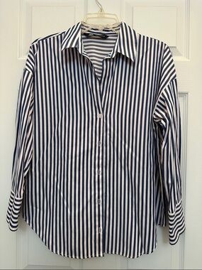 Zara Blue & White Vertical Stripe Button-Down Shirt